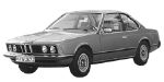 BMW E24 C1996 Fault Code